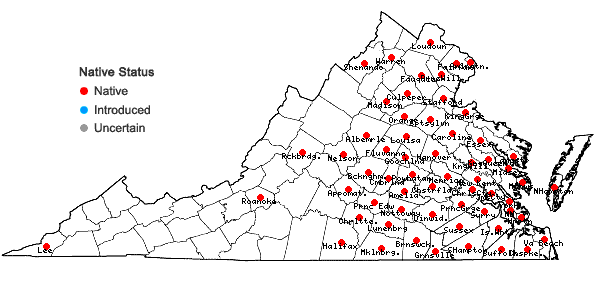Locations ofPhyllanthus caroliniensis Walt. ssp. caroliniensis in Virginia