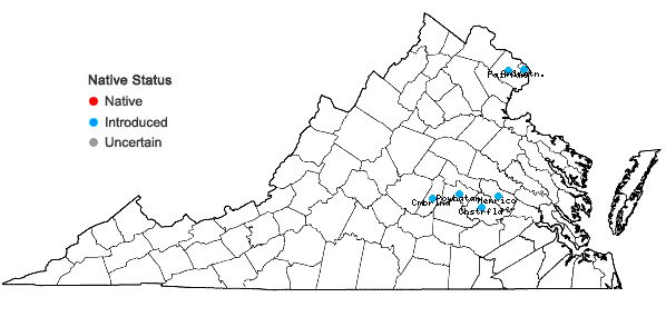 Locations ofPhyllostachys aureosulcata McClure in Virginia