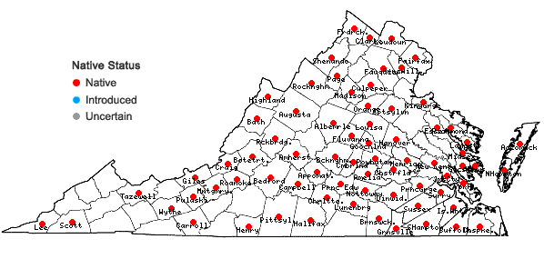 Locations ofPhysalis heterophylla Nees in Virginia
