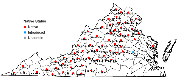 Locations ofPinus strobus L. in Virginia