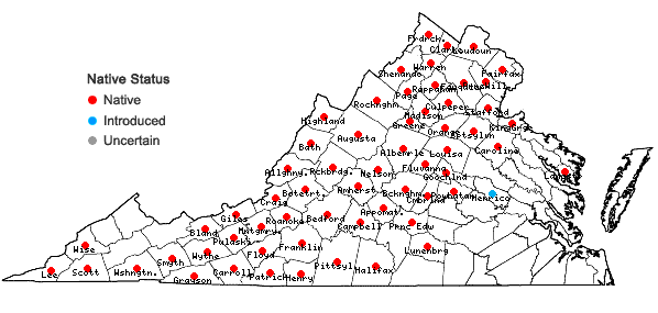 Locations ofPinus strobus L. in Virginia