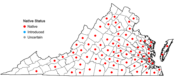 Locations ofPiptochaetium avenaceum (L.) Parodi in Virginia