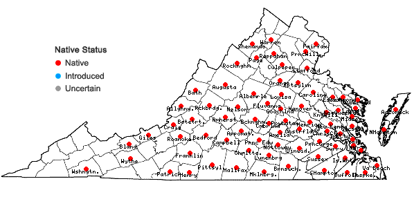 Locations ofPiptochaetium avenaceum (L.) Parodi in Virginia