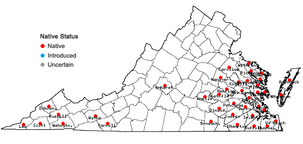 Locations ofPityopsis nervosa (Willd.) Dress in Virginia