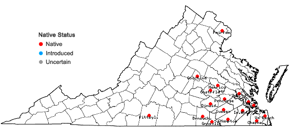Locations ofPlanodes virginicum (L.) E.L. Greene in Virginia