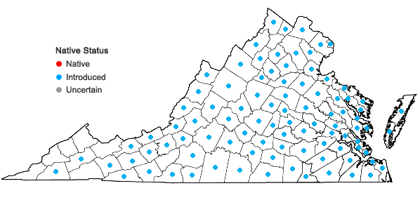 Locations ofPlantago aristata Michaux in Virginia