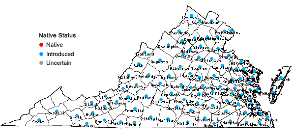 Locations ofPlantago aristata Michaux in Virginia
