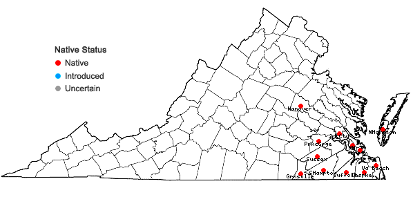 Locations ofPlantago heterophylla Nuttall in Virginia