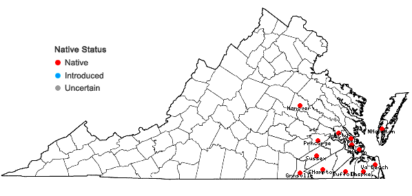 Locations ofPlantago heterophylla Nuttall in Virginia