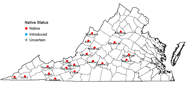 Locations ofPlatanthera flava (L.) Lindl. var. herbiola (R.Br. ex Ait.f.) Luer in Virginia