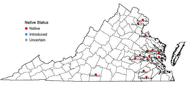Locations ofPlatanthera flava (L.) Lindl. var. flava in Virginia