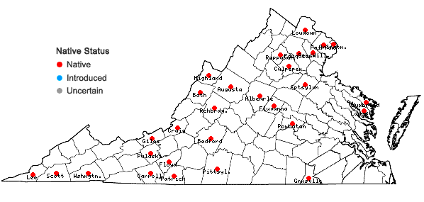 Locations ofPlatanthera peramoena (Gray) Gray in Virginia