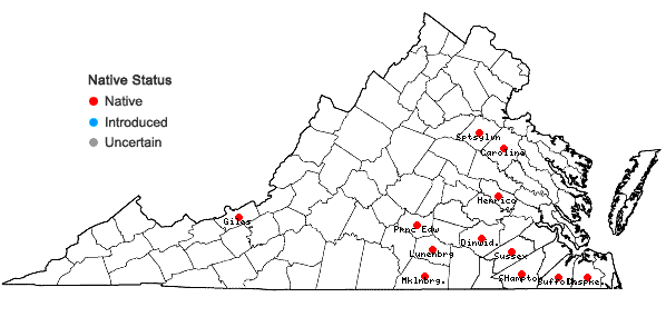 Locations ofPogonatum brachyphyllum (Michx.) P. Beauv. in Virginia