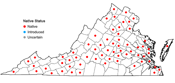 Locations ofPolygonatum biflorum (Walt.) Ell. var. biflorum in Virginia