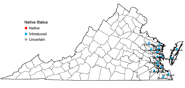 Locations ofPolypogon monspeliensis (L.) Desf. in Virginia