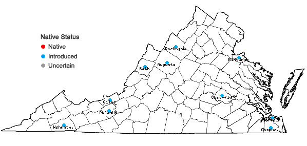 Locations ofPopulus nigra L. in Virginia