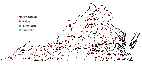 Locations ofPorella pinnata Linnaeus in Virginia