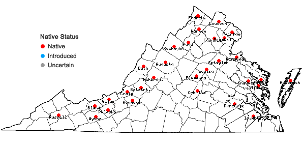 Locations ofPotamogeton foliosus Raf. var. foliosus in Virginia