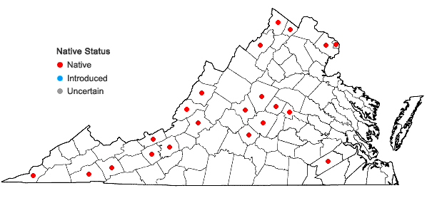 Locations ofPotamogeton illinoensis Morong in Virginia