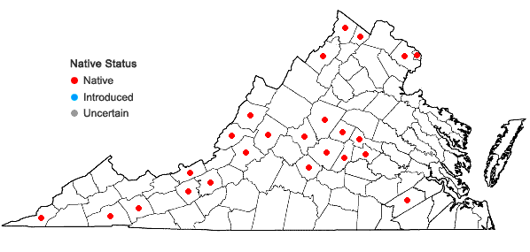 Locations ofPotamogeton illinoensis Morong in Virginia