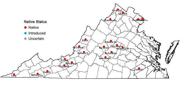 Locations ofPotamogeton illinoensis Morong in Virginia