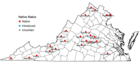 Locations ofPotamogeton illinoensis Morong in Virginia