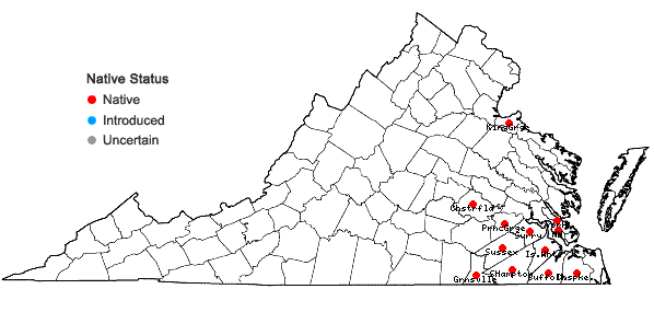 Locations ofProserpinaca pectinata Lam. in Virginia