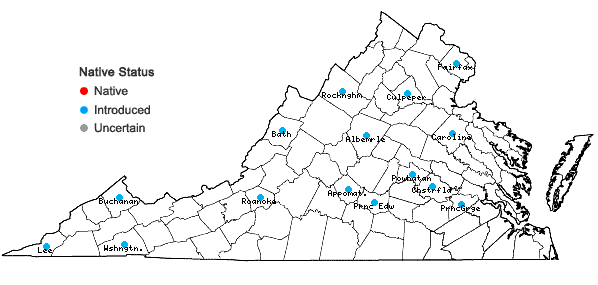 Locations ofPrunus hortulana Bailey in Virginia