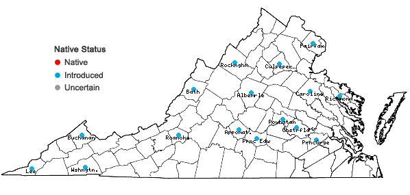 Locations ofPrunus hortulana Bailey in Virginia