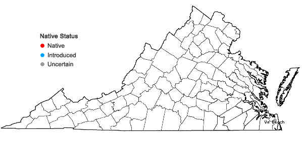 Locations ofPrunus maritima Marshall in Virginia