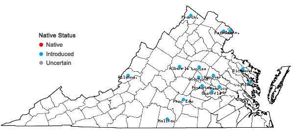Locations ofPrunus subhirtella Miq. in Virginia