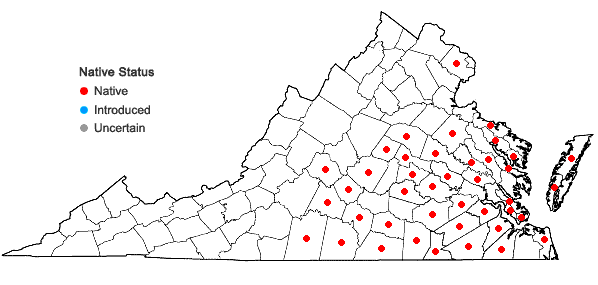Locations ofPteridium aquilinum (L.) Kuhn ssp. pseudocaudatum (Clute) Hulten in Virginia