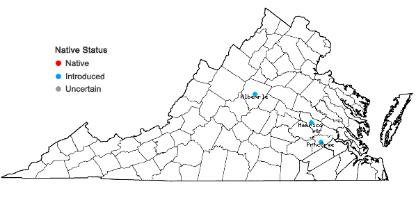 Locations ofPteris multifida Poir. in Virginia