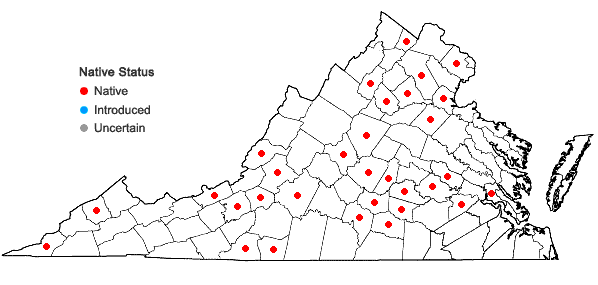 Locations ofPtychomitrium incurvum (Schwägr.) Spruce in Virginia