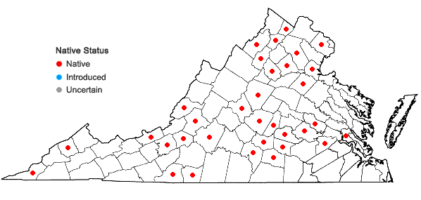 Locations ofPtychomitrium incurvum (Schwägr.) Spruce in Virginia