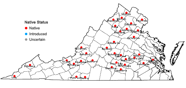 Locations ofPtychomitrium incurvum (Schwägr.) Spruce  in Virginia