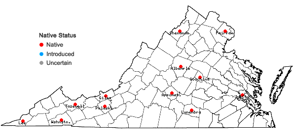 Locations ofPtychostomum creberrimum (Taylor) J.R. Spence & H.P. Ramsay in Virginia