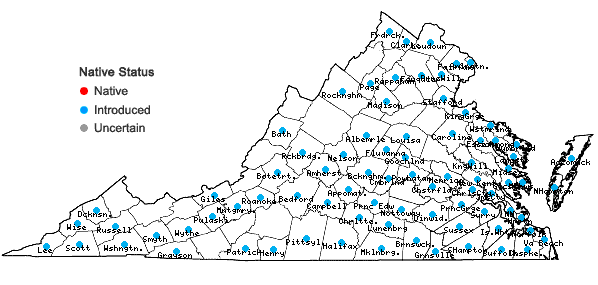 Locations ofPueraria montana (Loureiro) Merritt var. lobata (Willd.) Maesen & S. Almeida in Virginia