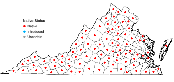 Locations ofPycnanthemum incanum complex in Virginia