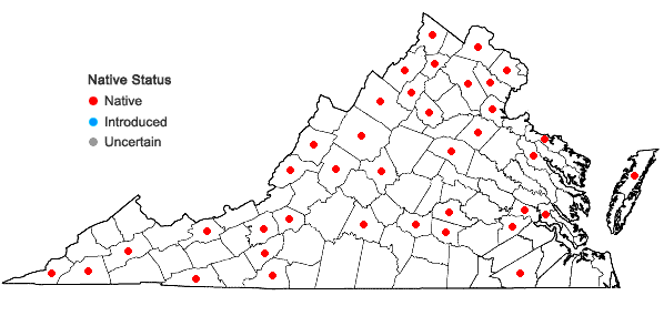 Locations ofPycnanthemum incanum (L.) Michx. var. incanum in Virginia