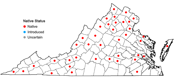 Locations ofPycnanthemum incanum (L.) Michx. var. incanum in Virginia