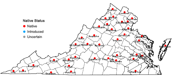 Locations ofPycnanthemum incanum (L.) Michx. var. incanum in Virginia