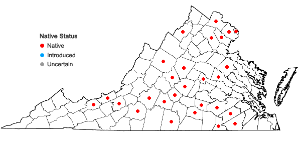 Locations ofPycnanthemum torreyi Benth. in Virginia