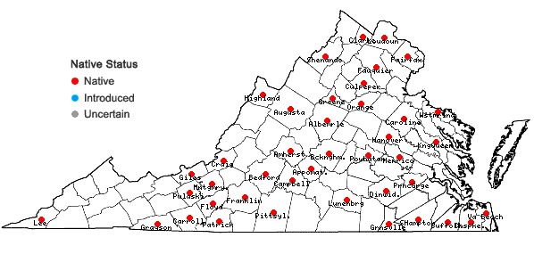 Locations ofPycnanthemum verticillatum (Michx.) Pers. in Virginia
