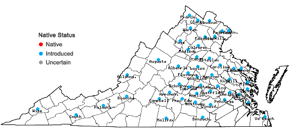 Locations ofPyrus calleryana Dcne. in Virginia