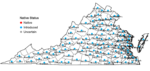 Locations ofRanunculus bulbosus L. in Virginia