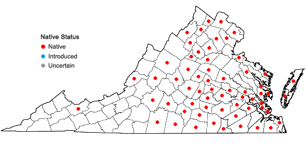 Locations ofRanunculus pusillus Poir. in Virginia