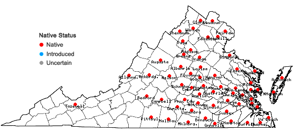 Locations ofRanunculus pusillus Poir. in Virginia