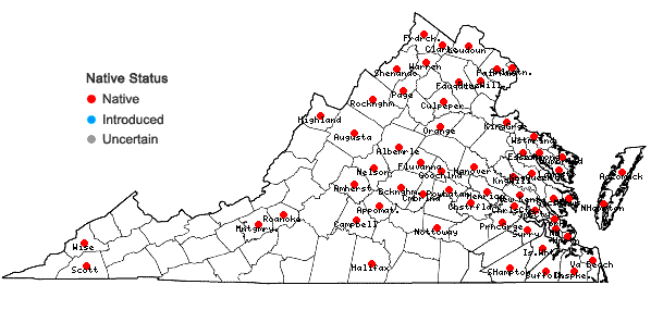 Locations ofRanunculus sceleratus L. var. sceleratus in Virginia