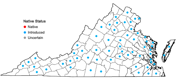 Locations ofReynoutria japonica Houttuyn var. japonica in Virginia